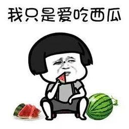 娱乐吃瓜君怎么啦,揭秘幕后真相